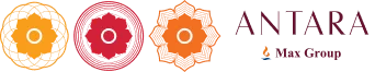 main logo